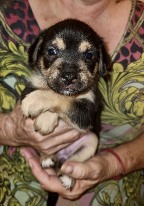 Ruby Sue