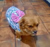 Chiki