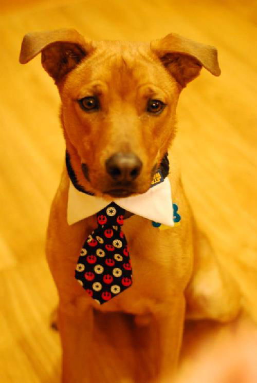 Booker (Duke)