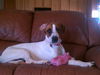 Roxy