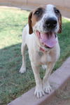 Roxy