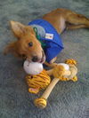 Ryker