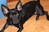 Zoey