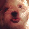 Mr. Magoo