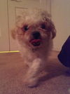 Mr. Magoo