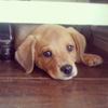 Rusty