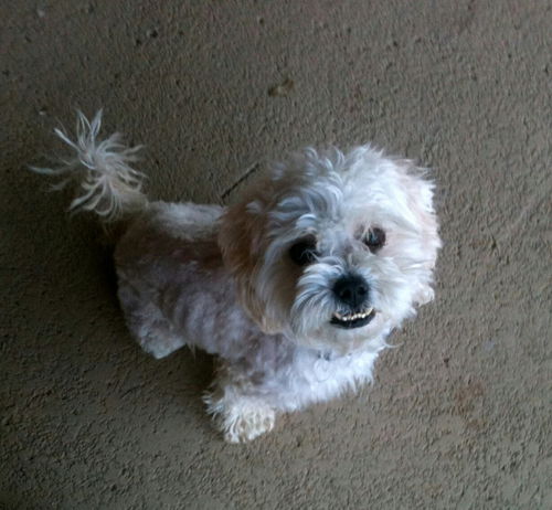 Casper