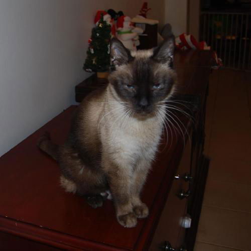 Charlie