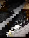 Cliff