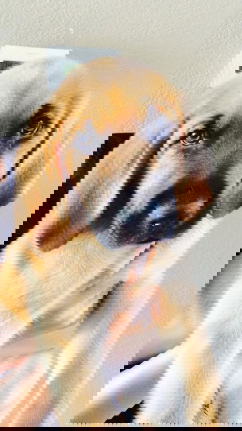Prairie