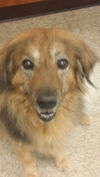 Chester