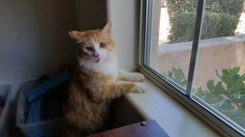 Milo