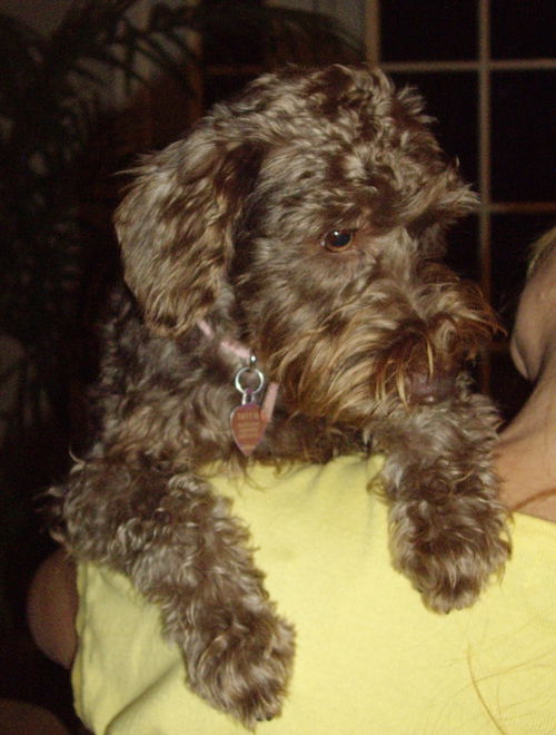Coco 2