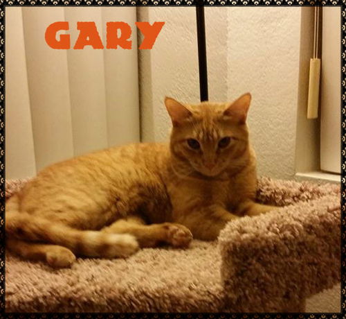 Gary