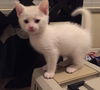 Casper