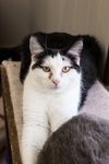 Frosty - Photo 4