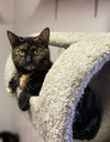 Ruby - Photo 2