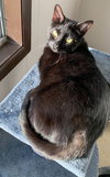 Kitty Bennet - Photo 2