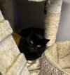 Pickles - Photo 3
