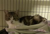 Fiona - Photo 2