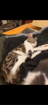 Fiona - Photo 4