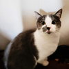 Benny - Photo 3