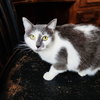 Misty - Photo 2
