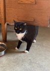 Jeff - Photo 3