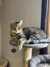 Yahtzee - Photo 1