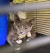 Tabitha - Photo 2