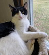 Doodad - Photo 2