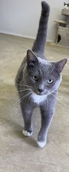 Don Corleone - Photo 2