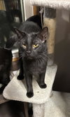 Ruckus - Photo 4