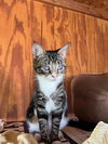 Bonita - Photo 3