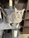Swiper - Photo 2