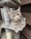 Swiper - Photo 3