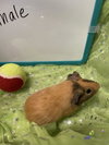 Edgar - Photo 2