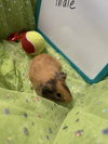 Edgar - Photo 3