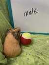 Edgar - Photo 4