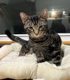 Hubub - Photo 1