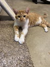 Philly - Photo 1
