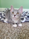 Keelie - Photo 2