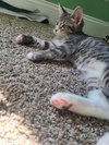 Titus - Photo 2