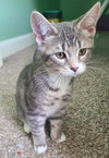 Titus - Photo 4