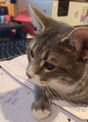 Titus - Photo 2