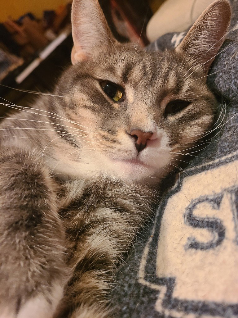 Titus