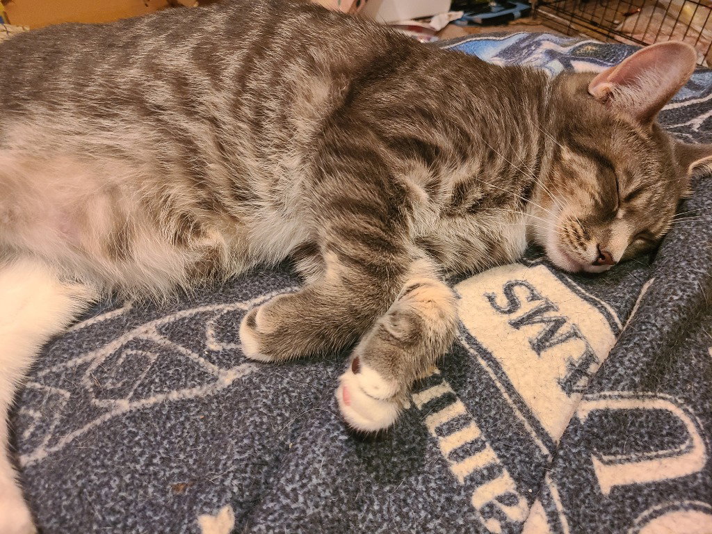 Titus, photo 2