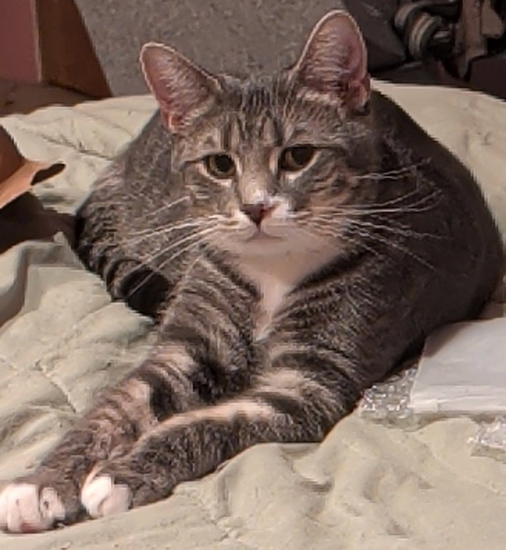 Titus, photo 3