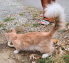 Norbert - Photo 3