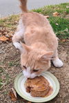 Norbert - Photo 4
